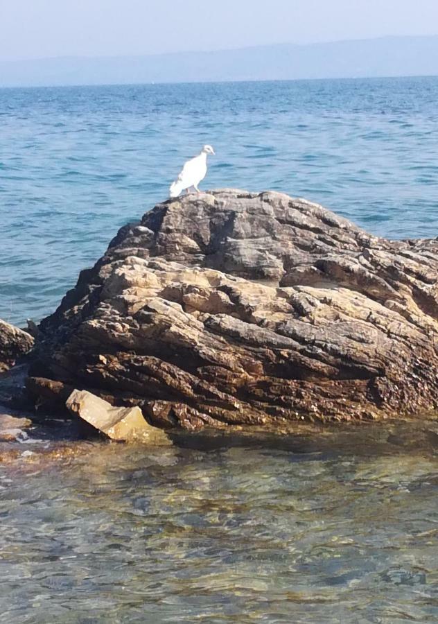 Apartmani Antonia Nakic -Stobrec Split Dış mekan fotoğraf